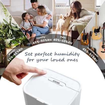 All-in-One Humidifier: Breathe Easy & Hydrate Your Home