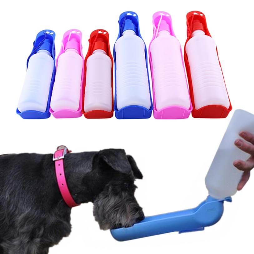 EZ Hydrate Dog Water Bottle